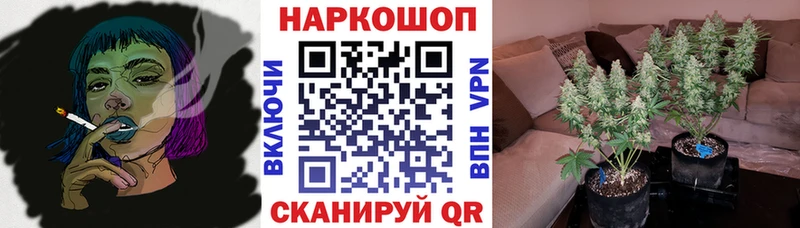 Названия наркотиков Пошехонье КОКАИН A PVP МЕТАМФЕТАМИН МАРИХУАНА Амфетамин