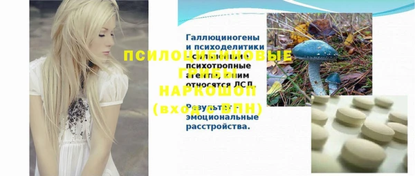 шишки Аркадак