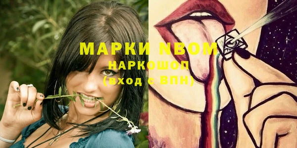 шишки Аркадак