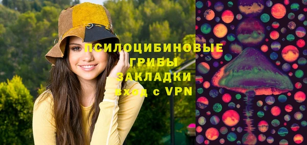 шишки Аркадак