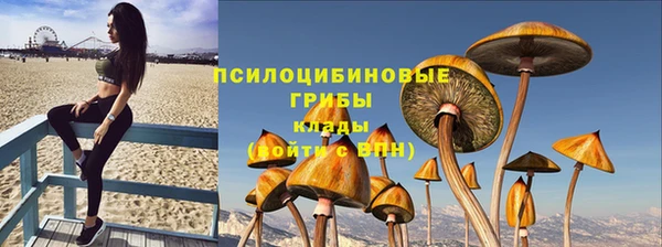 прущая мука Арсеньев