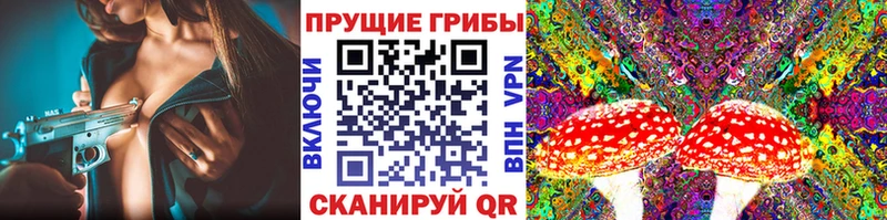 Галлюциногенные грибы MAGIC MUSHROOMS  купить закладку  кракен ONION  Пошехонье 